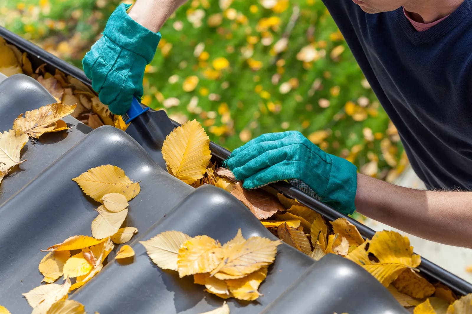 Professional Gutter Cleaning in Victoria, TX