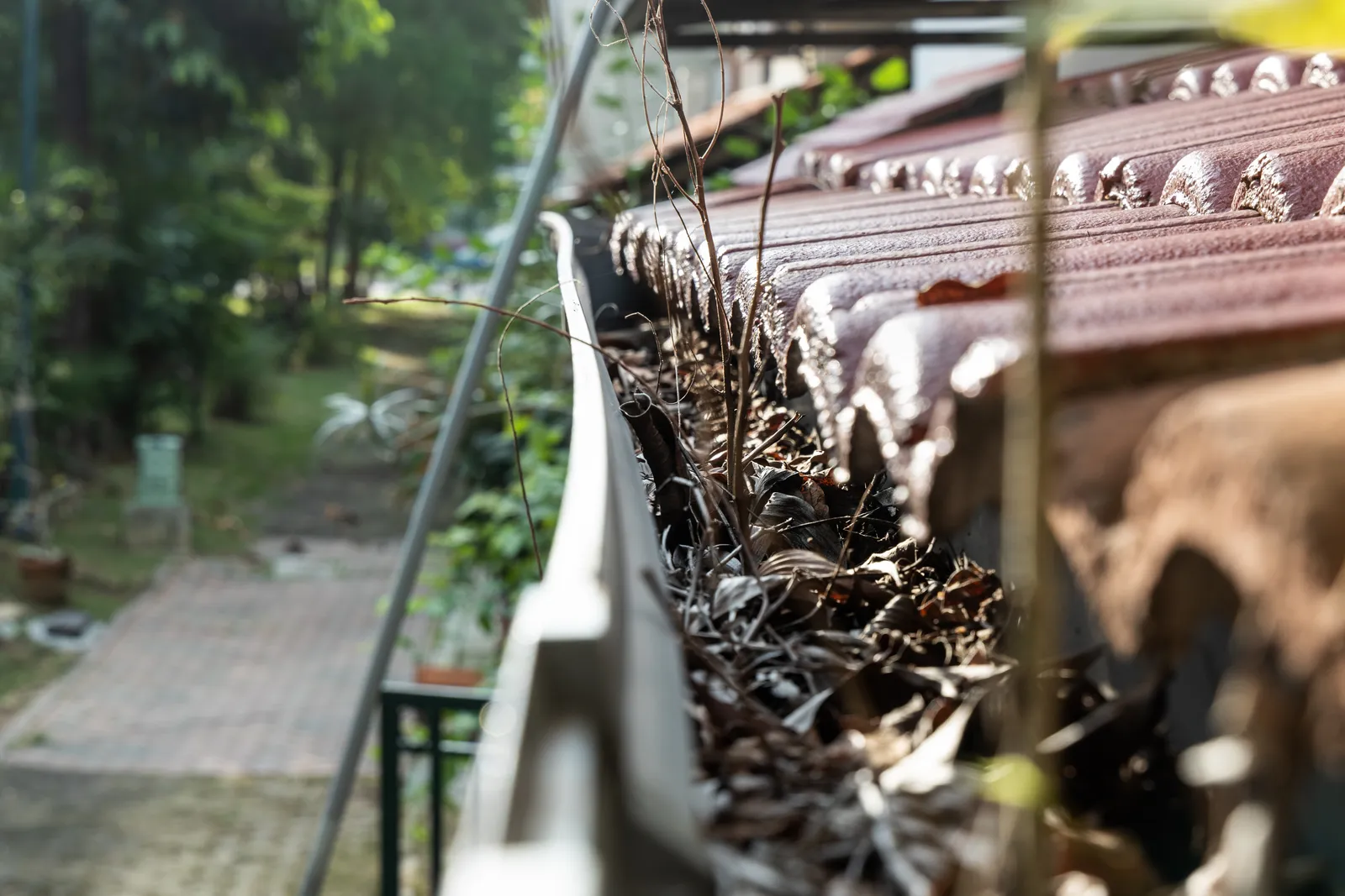 Warning Signs of Clogged Gutters